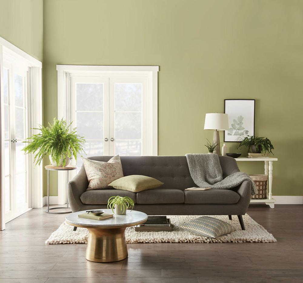 Behr living room in green