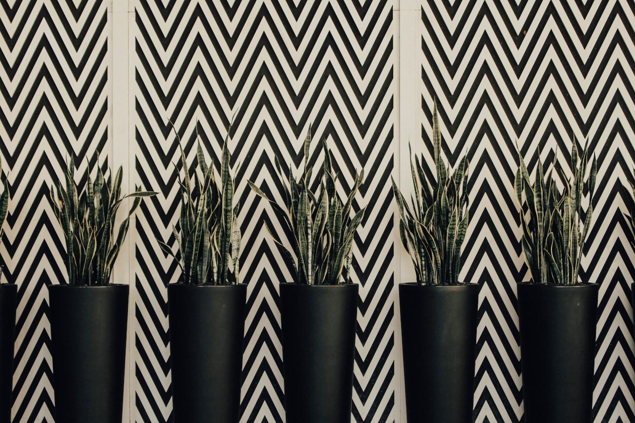 A wall with Chevrons printed on it.