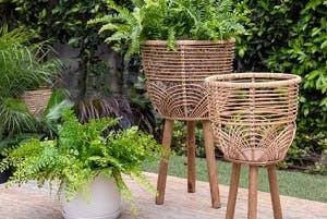 Plant furniture