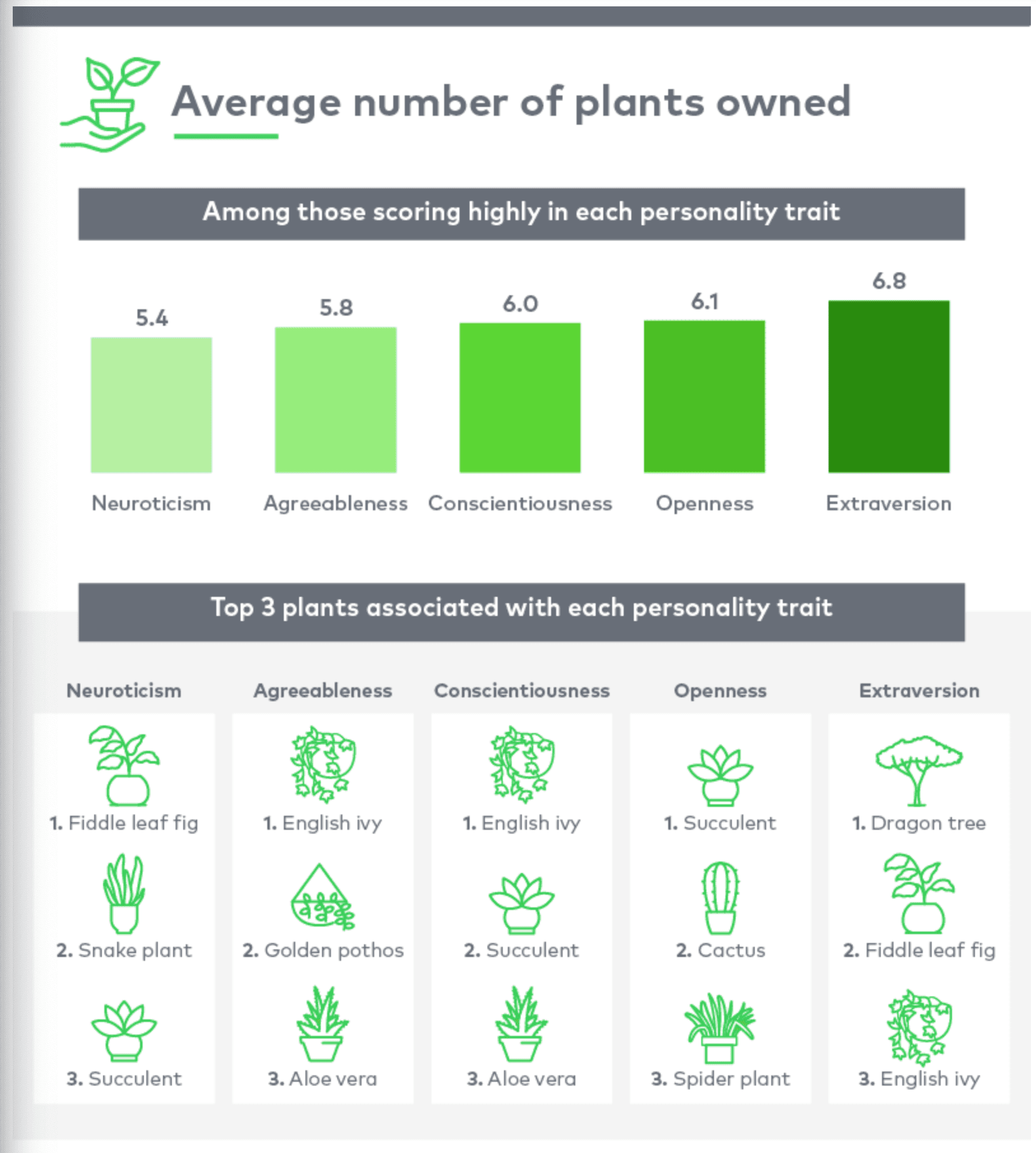 A bar chart of personality trait responses and beneath it is a rank of corresponding plant types for those traits.