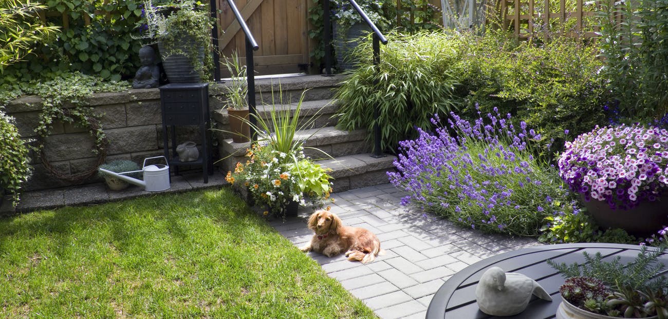 small backyard garden