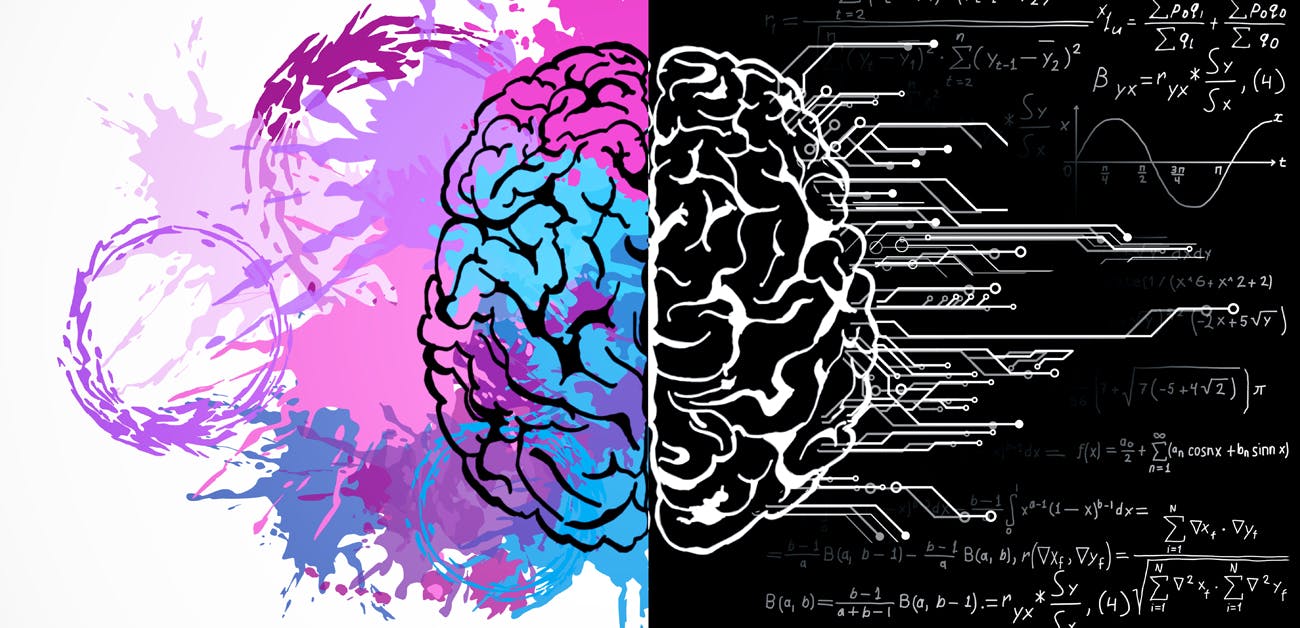 chaos to order path through brain