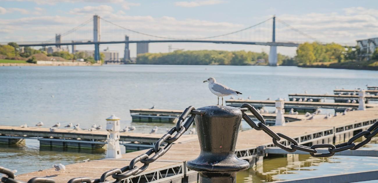 A picture of Toledo, Ohio, with a bird standing upon a chain fence post.