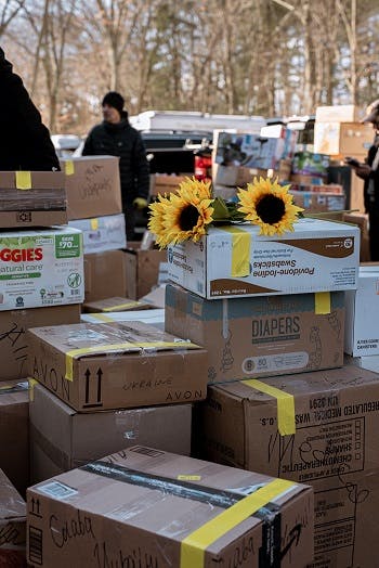 boxes with sunflowers on them