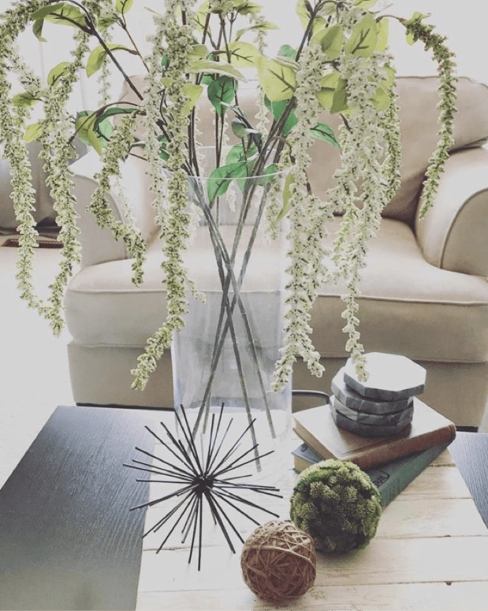 plants on a coffee table