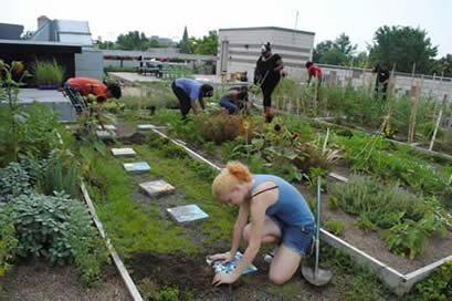 Rooftop Community Garden with hand-made tiles in Washington, DC