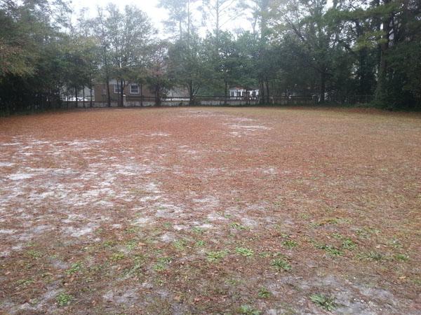 Site of Community Garden 