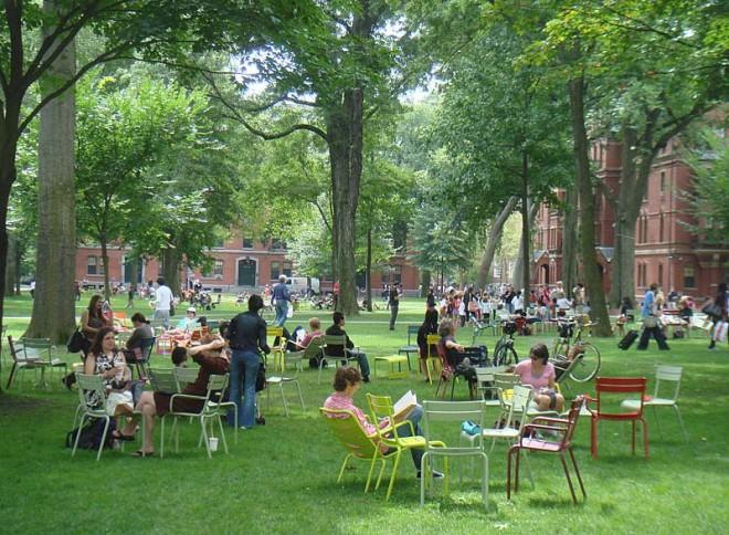 The Placemaking momentum at Harvard began with movable seating in Harvard Yard – a space unchanged for hundreds of years | Photo by PPS