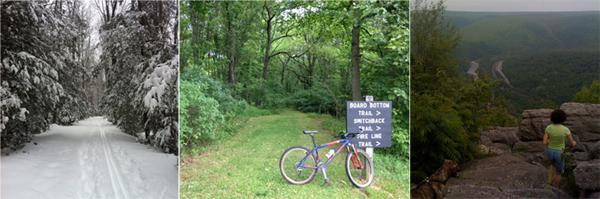 Switchback Trail