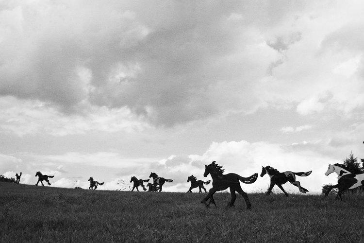 The Steel Stampede by Douwe Blumberg.