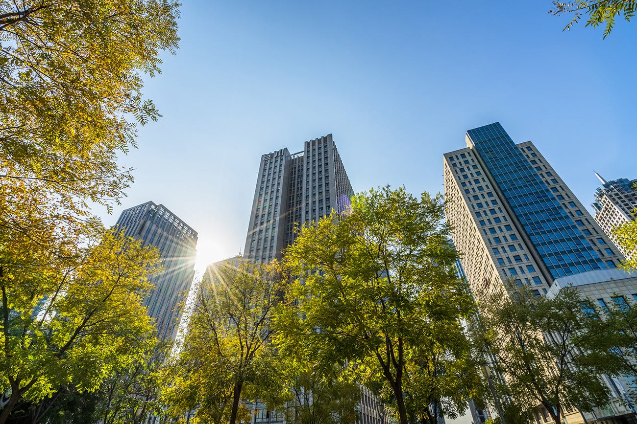 Commercial buildings with trees in front