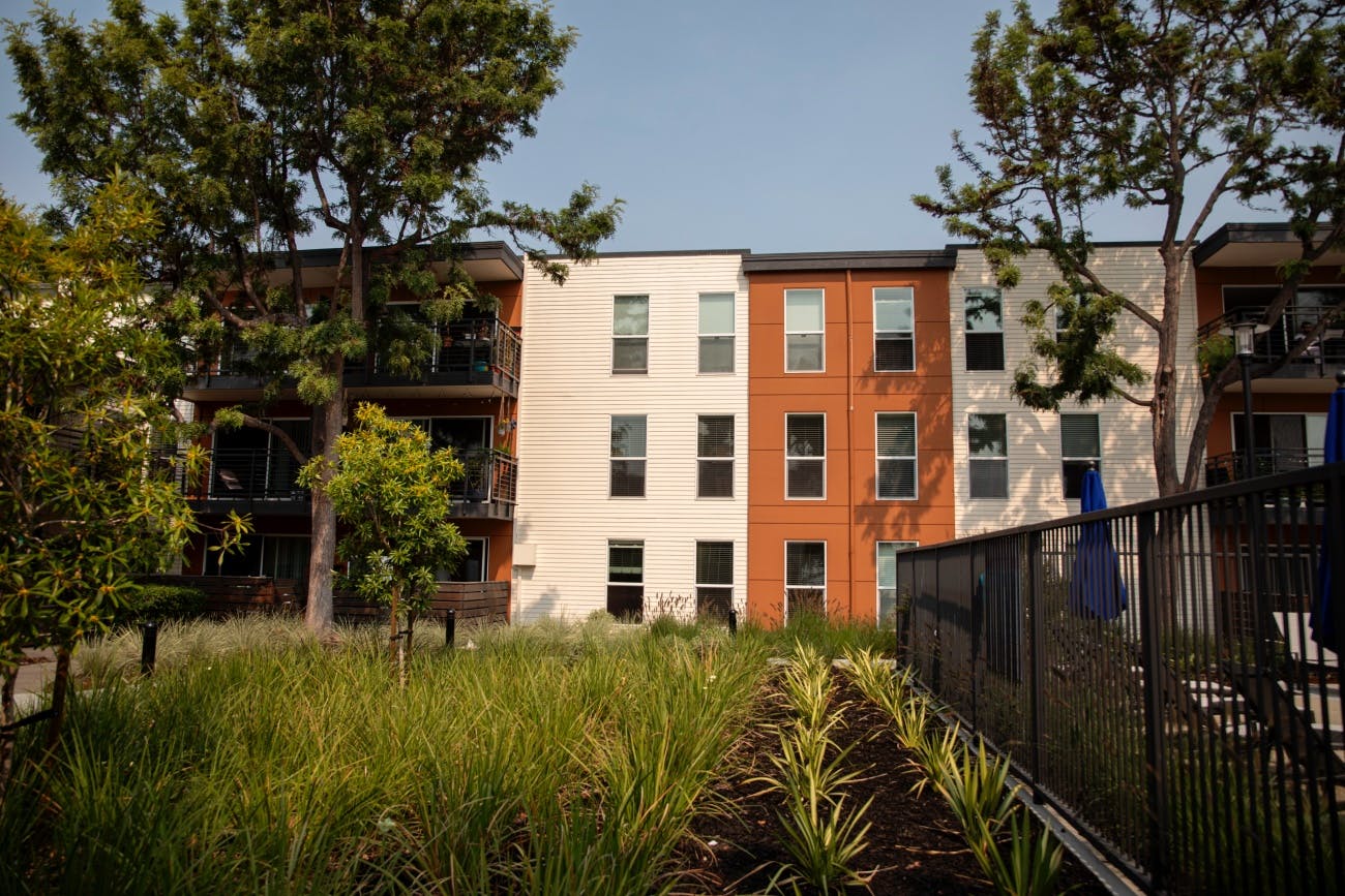 Backyard view of sustainable apartment buildings