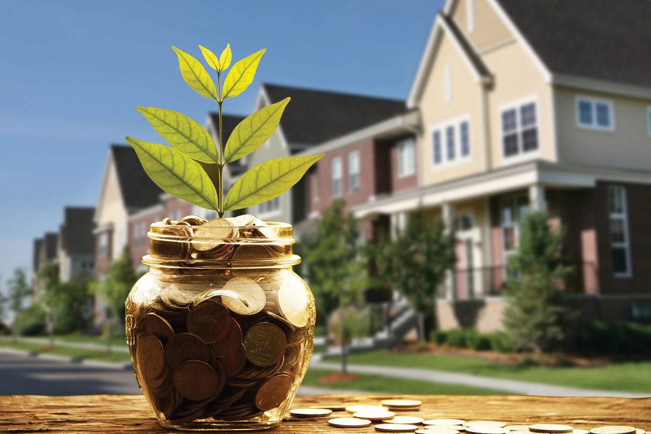 Money plant with coins superimposed over a row of neighborhood houses