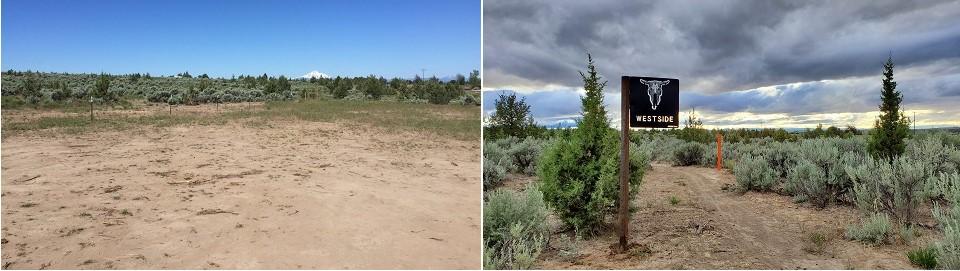 Before and after images: Madras East Hill Trail, MI