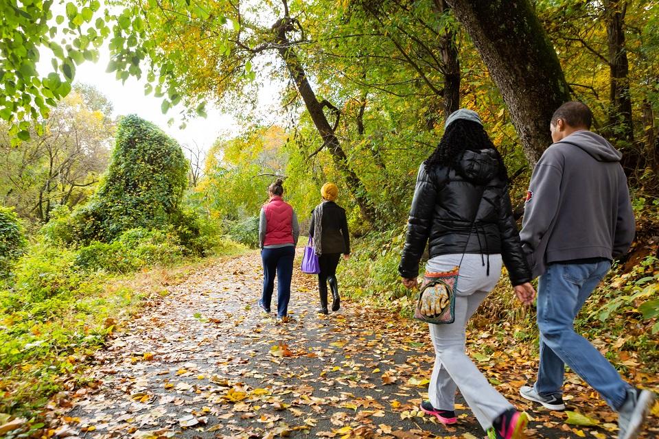 People walking on a park trail