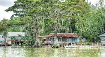 Homes by the river in Louisiana