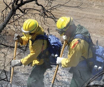 Members of the National Guard fighting a forest fire