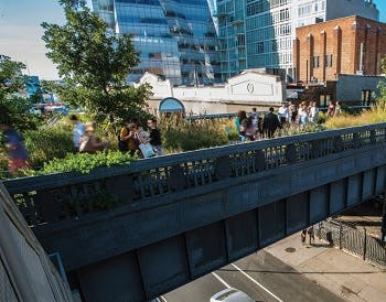 A downtown area bridge featuring trees and green vegetation