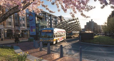 Harbor Point Bus leaving a Boston bus stop