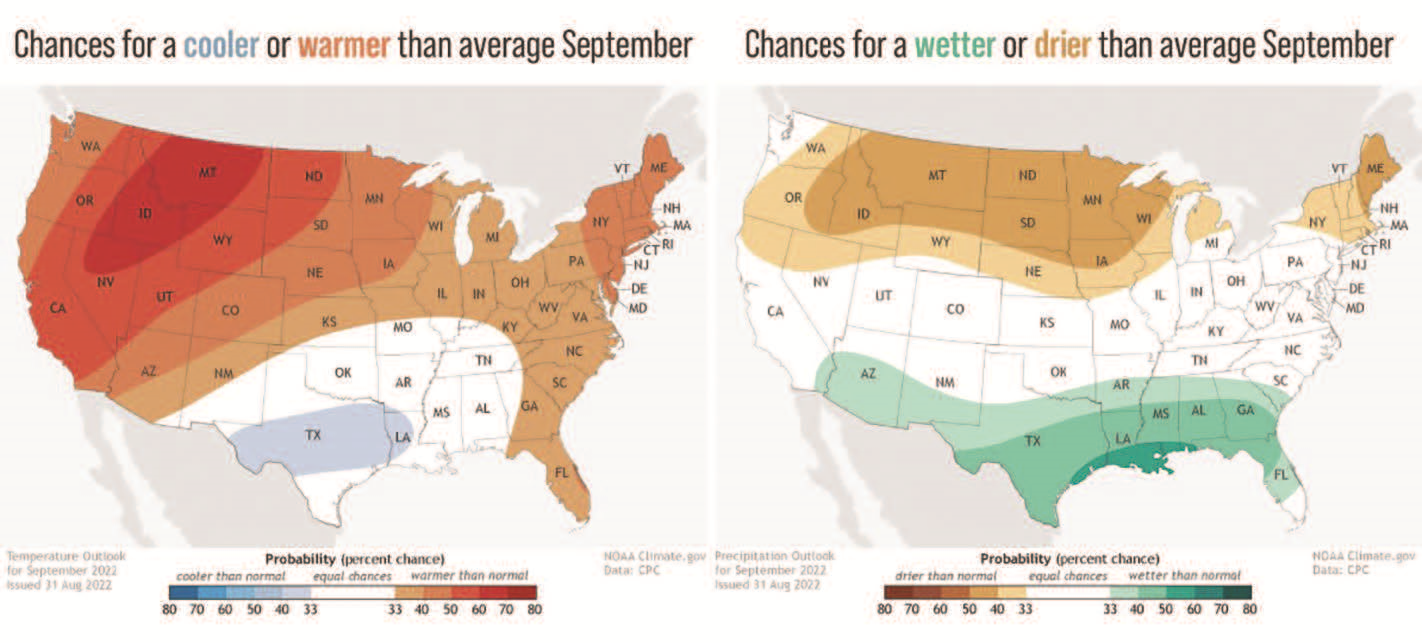 US maps showing chances for cooler, wetter, drier than average September (click on the image to enlarge it).