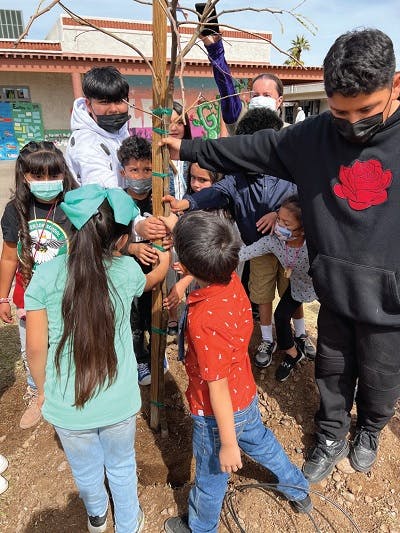 Emerson School students in Phoenix, AZ planting a tree