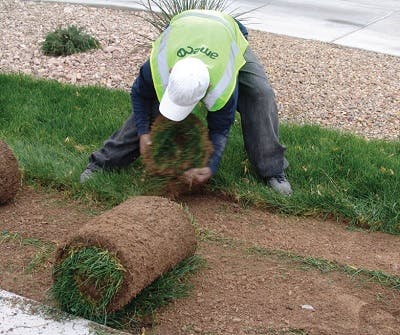 Southern Nevada crew removing grass