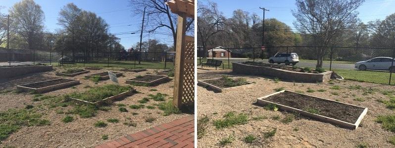 The previously overgrown space identified by the Canopy REALTOR® Association and the Canopy Housing Foundation.