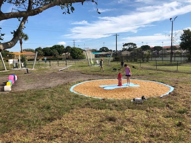 Melbourne, FL dog park - kid standing next to a painted fire hydrant, dog running