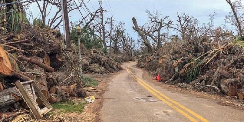 A two-way road surrounded by hurricane debris