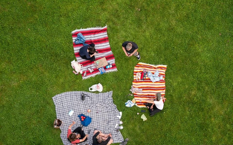 Aerial view of a family having a picnic in the park