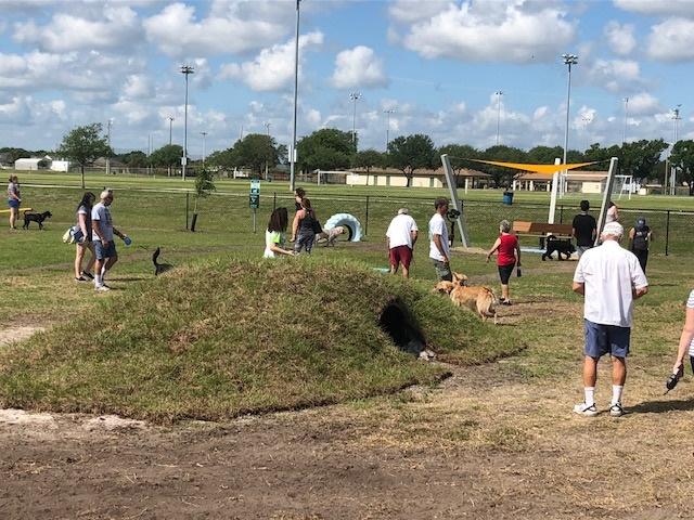 Melbourne, FL dog park - people with dogs, covered bench