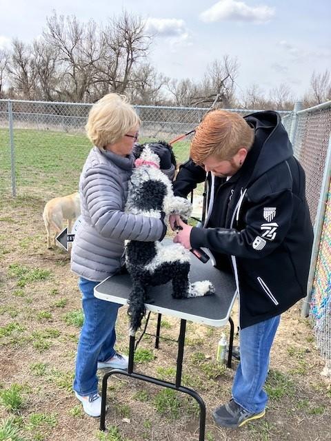 Volunteers at the grand opening helped the canine visitors to look their best.