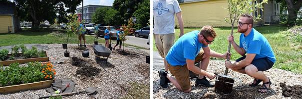 Volunteers planting a garden