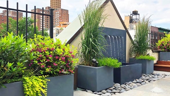 rooftop garden