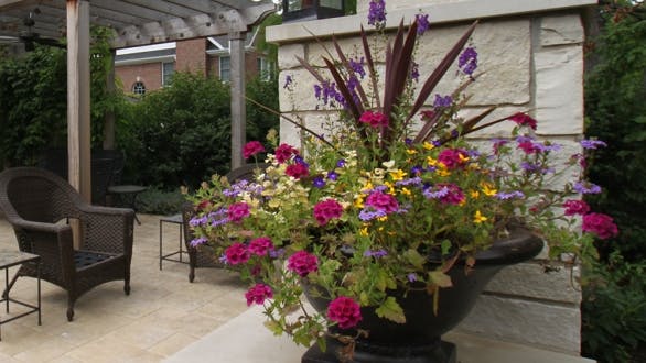 container garden with various flowers