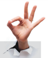 U.S. hand signal for "okay"