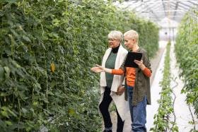 Two Women Working in a Commercial Greenhouse