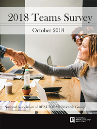 Cover of the Teams Survey report