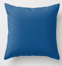 Pantone blue pillow