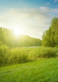 Rolling Green Hills, River and Sun