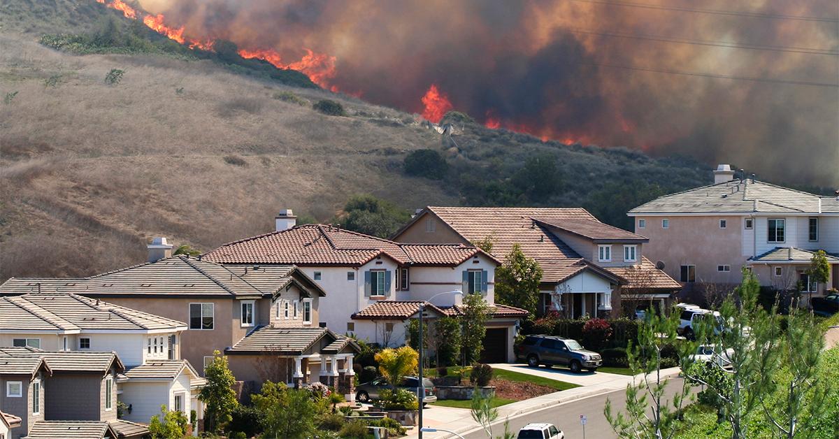 Suburban wildfire