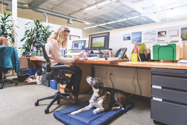 ‘I Need to Bring My Support Dog to the Office’