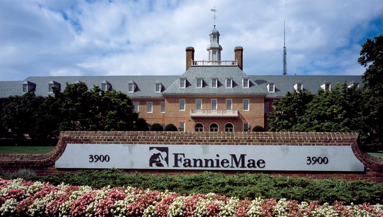 Fannie Mae & Freddie Mac (GSEs)