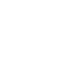 REALTOR® R White Logo