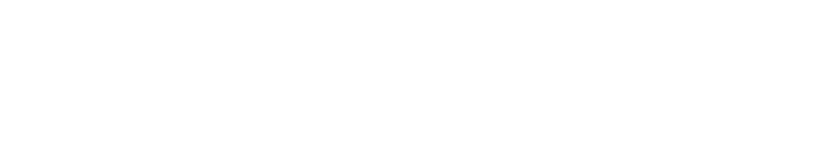 Platinum Perspectives logo text