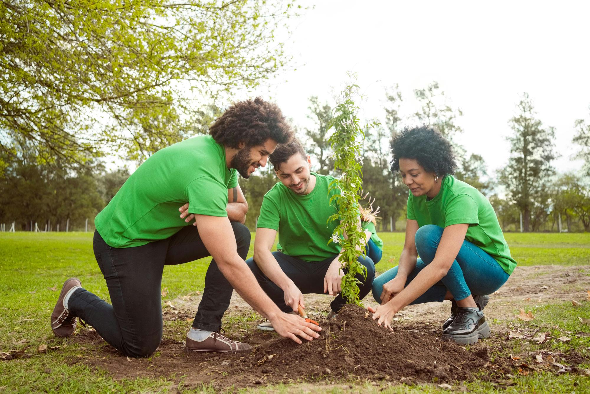 Tree-Planting Initiative