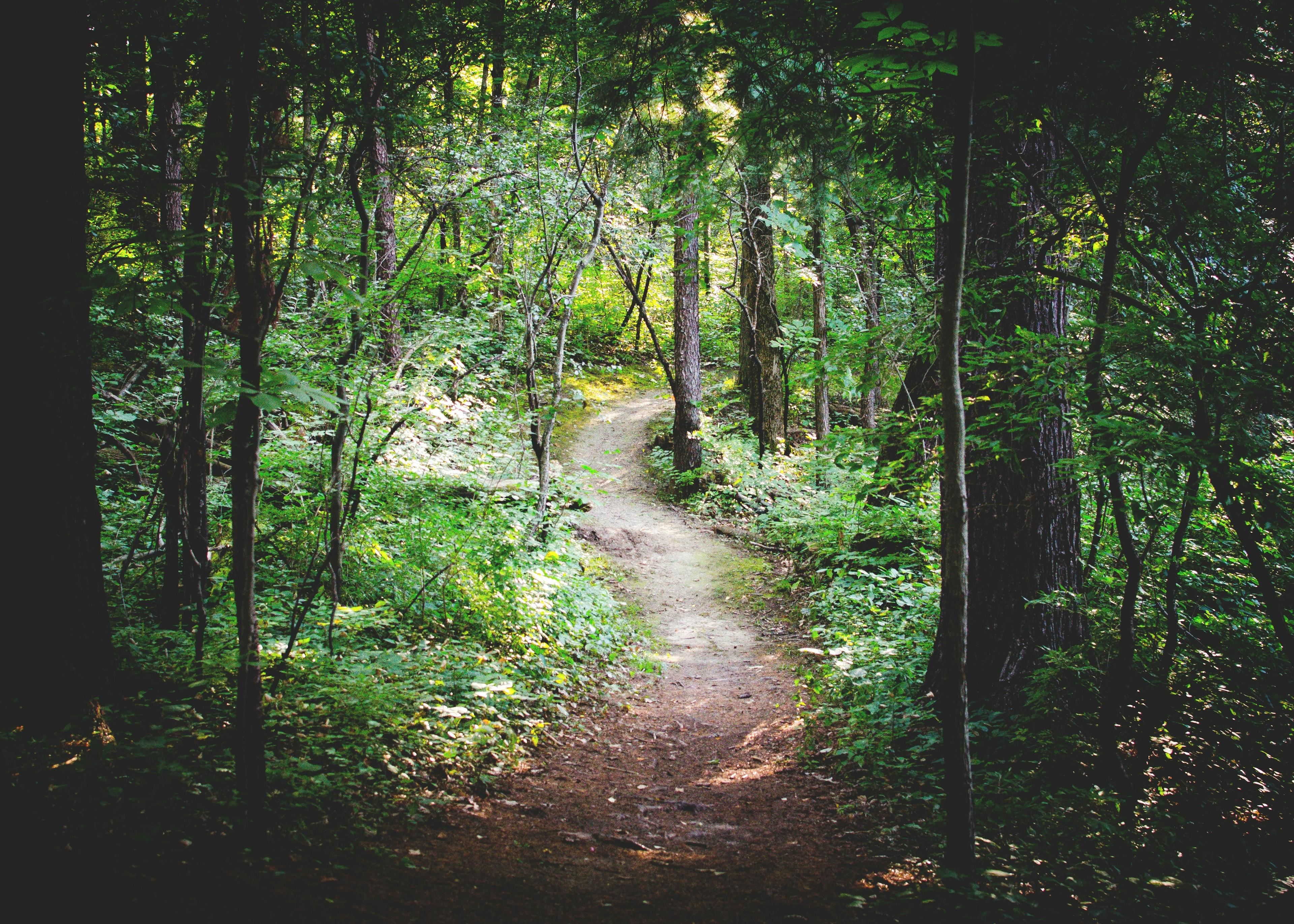 Trails & Greenways