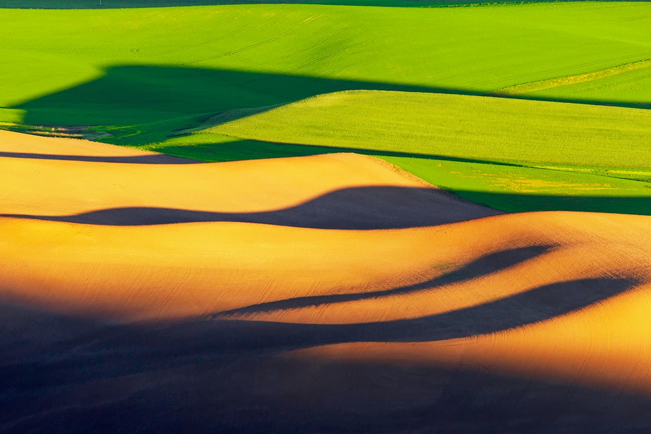 Accredited Land Consultant (ALC)