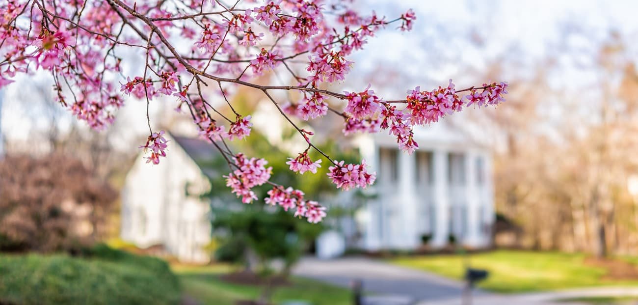 How Agents Can Help Pinpoint the ‘Best Time to Sell’ in 2026