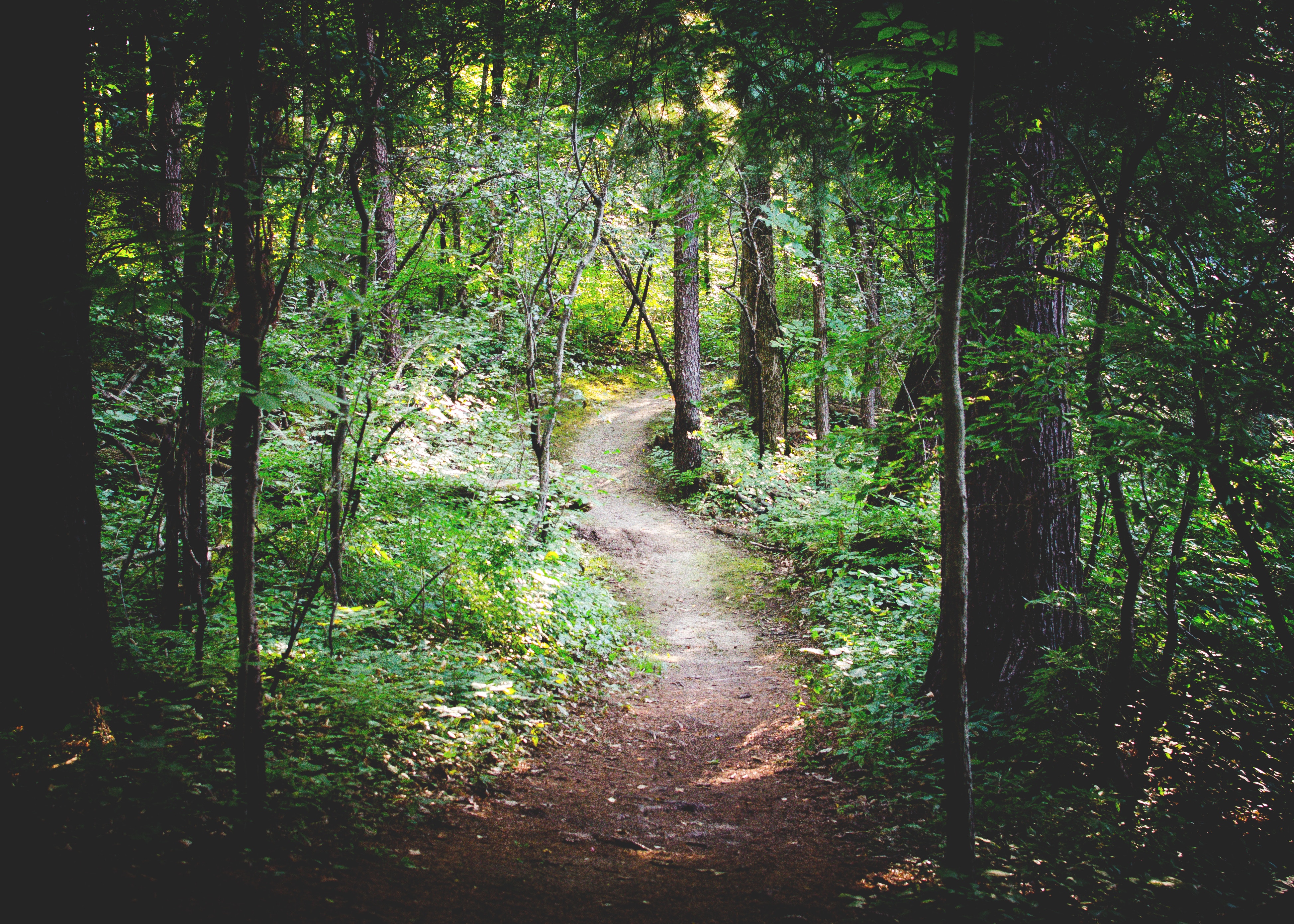 Trails and Greenways